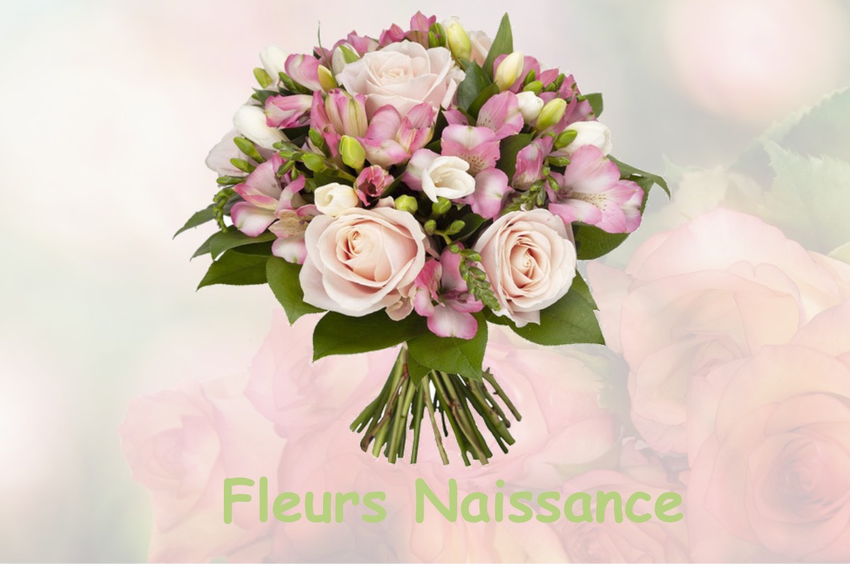 fleurs naissance BRIZEAUX