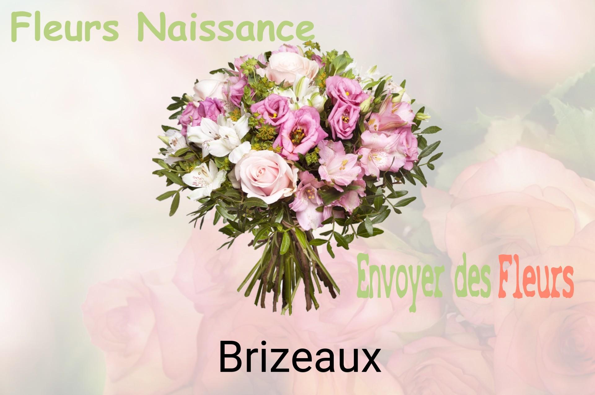 Bouquet de fleurs de naissance livré à Brizeaux