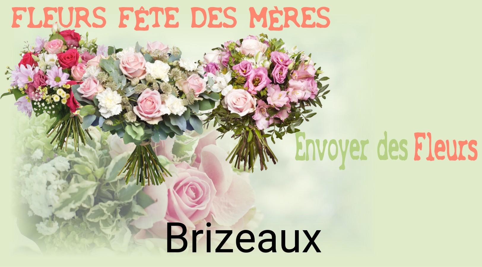 Bouquet de Fête des Mères livré à Brizeaux