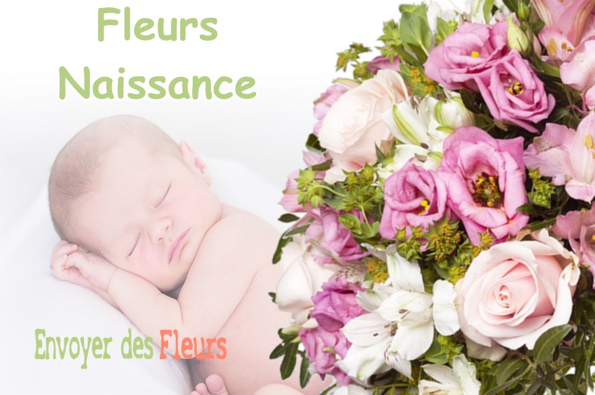 lIVRAISON FLEURS NAISSANCE à BRIZEAUX